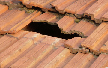 roof repair Whitelees, South Ayrshire
